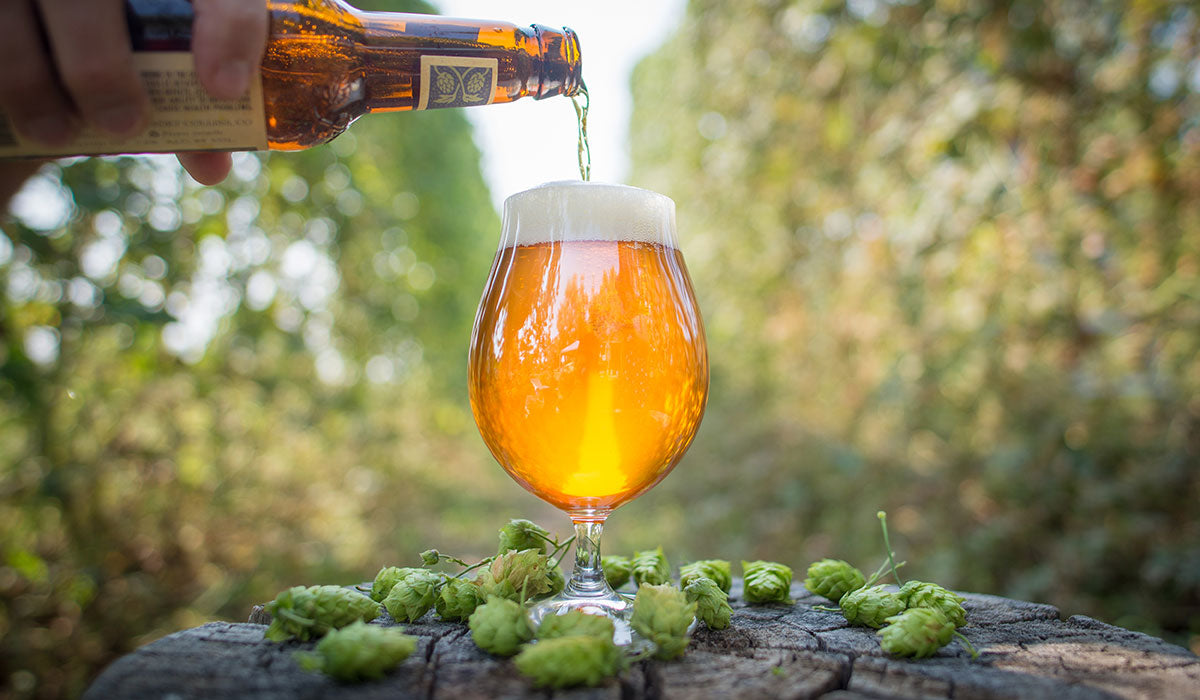 On National IPA Day we ask ChatGPT 5 questions about IPAs Northwest