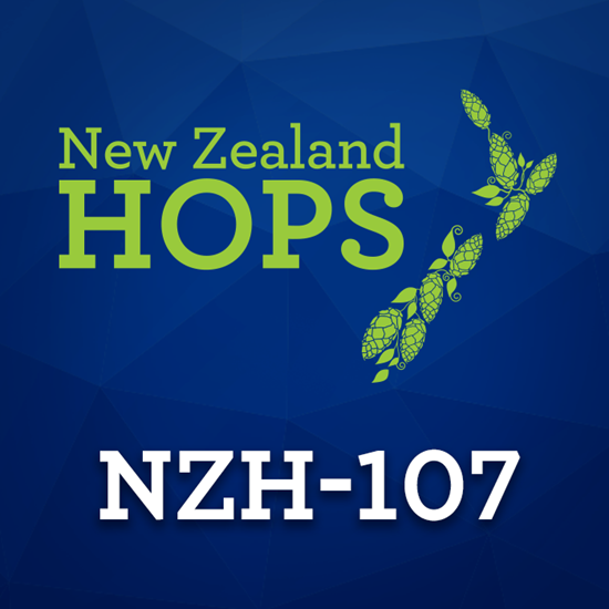 2022 NZ NZH-107